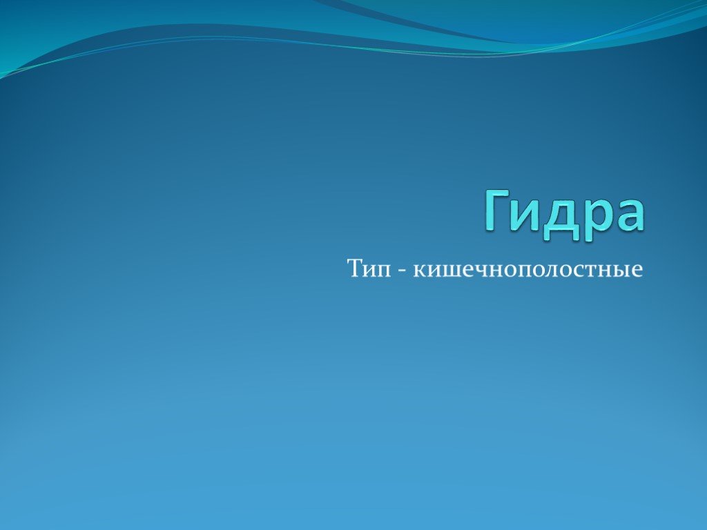 Ссылка на кракен онион