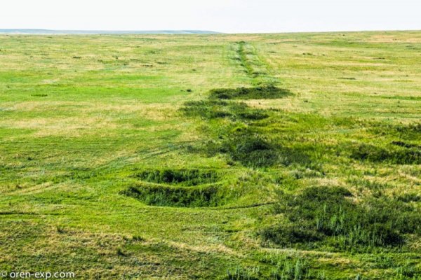 Кракен сайт дарк нет