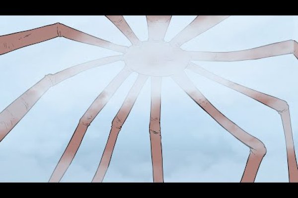 Kraken17at