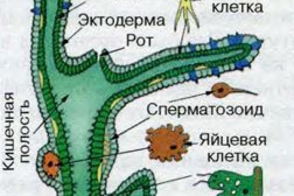 Kra49.cc