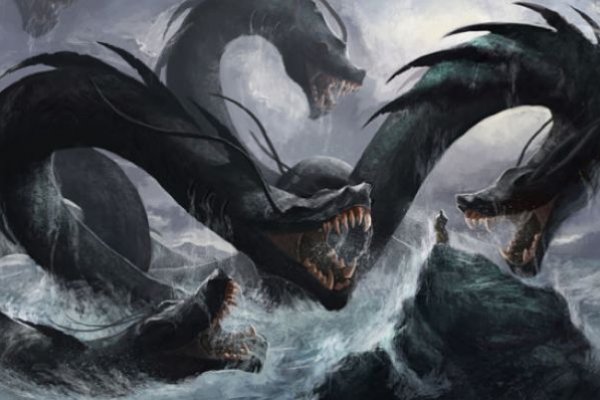 Kraken forum