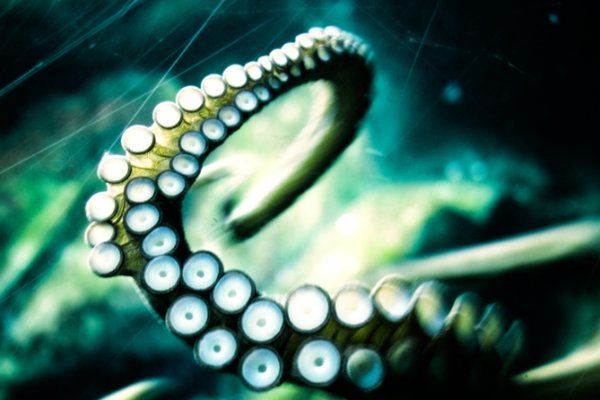 Кракен онион kraken dark link