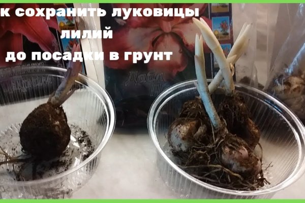 Как зайти в кракен с айфона