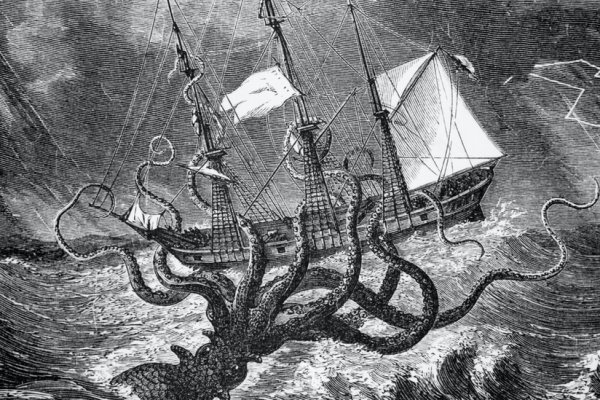 Kraken19 at