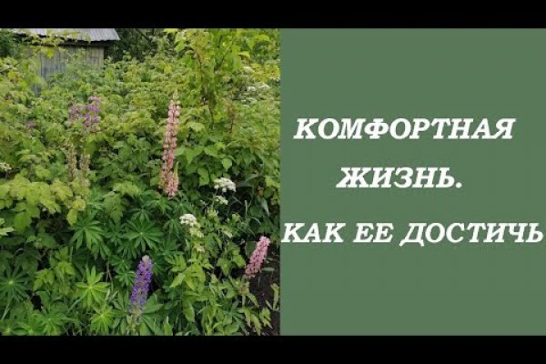 Kra38.cc