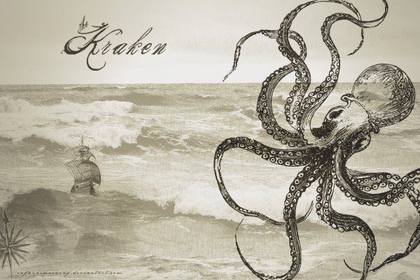 Kraken whitenet store