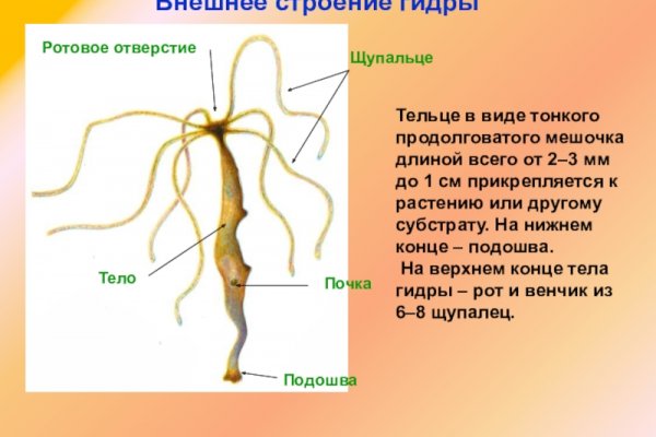 Сайт кракен 24