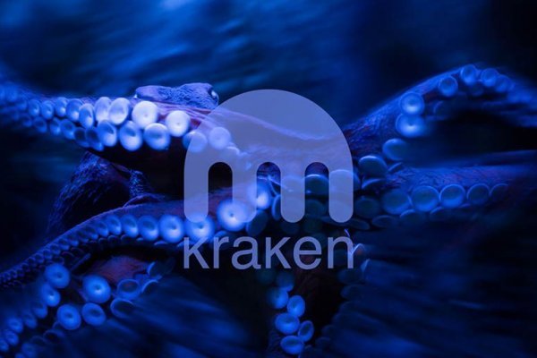 Kraken whitenet store