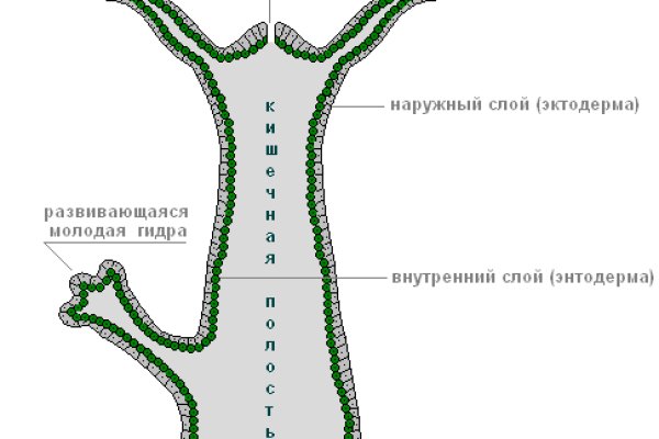 Кракен маркетплейс ассортимент