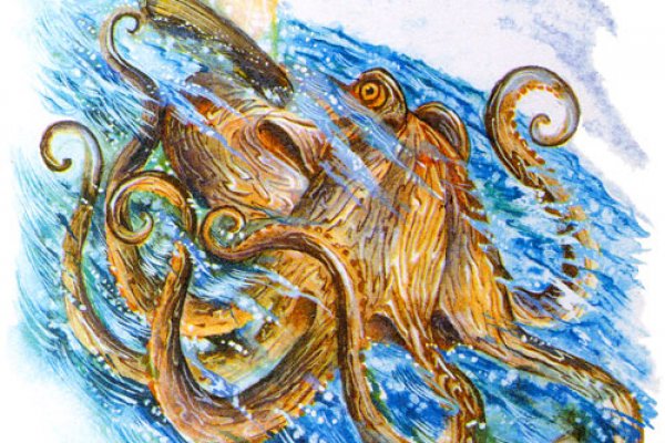 Кракен тор krakens13 at