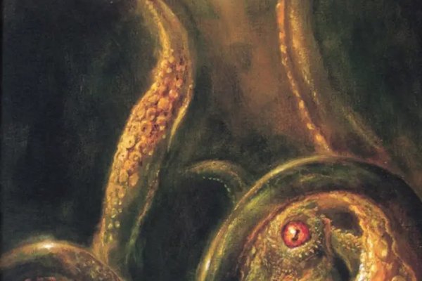 Kraken whitenet marketplace
