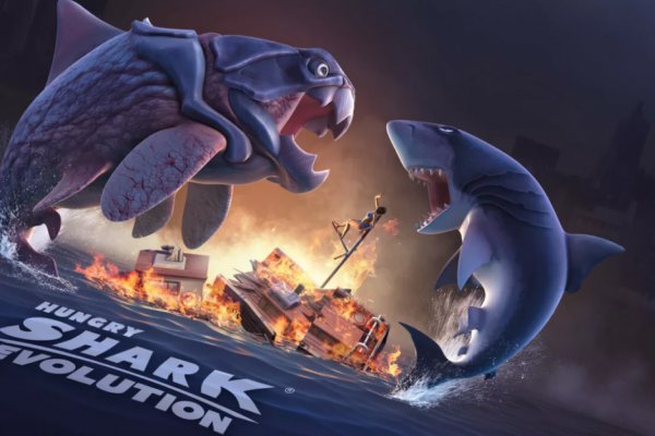 Kraken рабочий