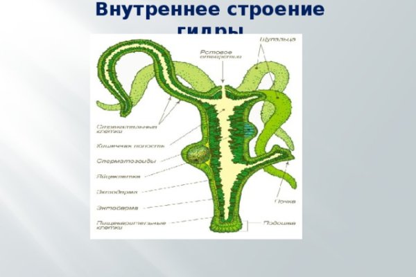 Как восстановить доступ к кракену