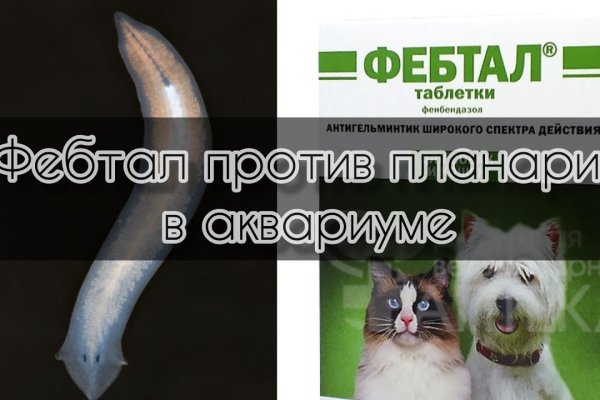 Craken12 at
