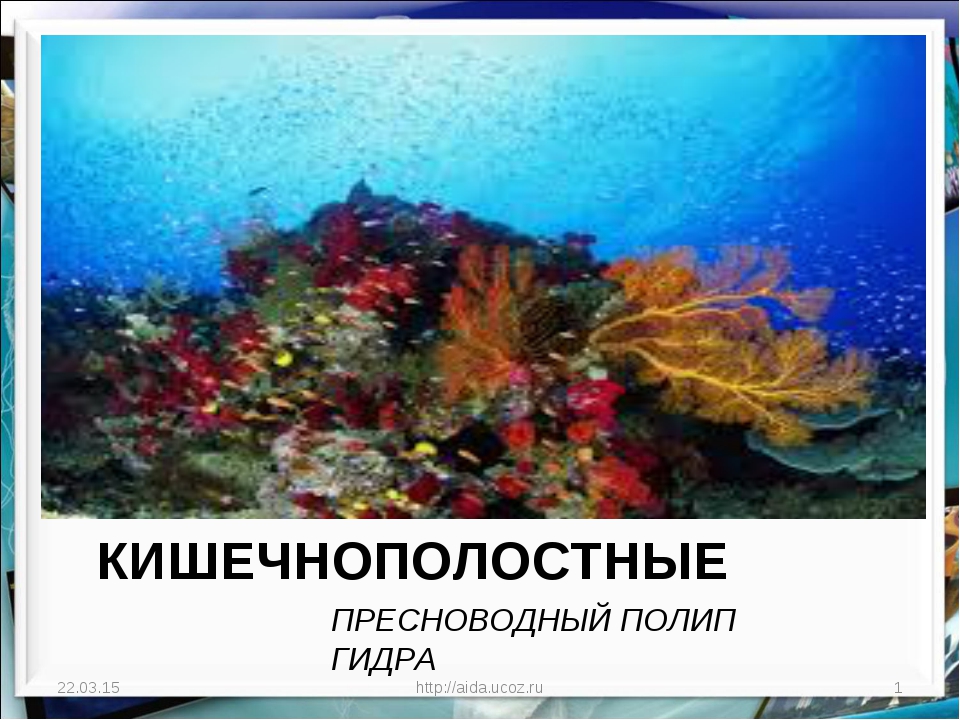 Как зайти на кракен через тор браузер